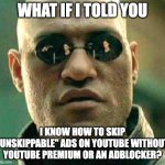 i am the greatest criminal of all time | WHAT IF I TOLD YOU; I KNOW HOW TO SKIP "UNSKIPPABLE" ADS ON YOUTUBE WITHOUT YOUTUBE PREMIUM OR AN ADBLOCKER? | image tagged in what if i told you,youtube,youtube ads | made w/ Imgflip meme maker