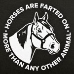 Horses are farted on