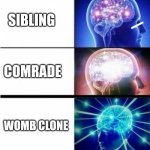 I have returned | BROTHER; SIBLING; COMRADE; WOMB CLONE; SPARE PARTS | image tagged in expanding brain meme | made w/ Imgflip meme maker