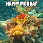 Happy Monday | HAPPY MONDAY | image tagged in enimicus | made w/ Imgflip meme maker
