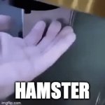 Absolute masterpiece | HAMSTER | image tagged in gifs,monster house | made w/ Imgflip video-to-gif maker