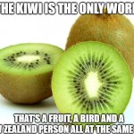Kiwi | THE KIWI IS THE ONLY WORD; THAT'S A FRUIT, A BIRD AND A NEW ZEALAND PERSON ALL AT THE SAME TIME | image tagged in kiwi | made w/ Imgflip meme maker