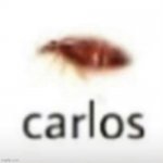 carlos meme