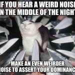would you do it? | IF YOU HEAR A WEIRD NOISE IN THE MIDDLE OF THE NIGHT; MAKE AN EVEN WEIRDER NOISE TO ASSERT YOUR DOMINANCE | image tagged in smug cat surrounded by knives,memes | made w/ Imgflip meme maker