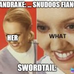 wof meme from book 13 (pls add a totaly rando comment.) | MANDRAKE: ... SNUDOOS FIANCE; HER; SWORDTAIL: | image tagged in the what,wof,wings of fire,sword,tail | made w/ Imgflip meme maker