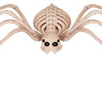 Skeleton spider