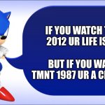Sonic says | IF YOU WATCH TMNT 2012 UR LIFE IS SAD; BUT IF YOU WATCH TMNT 1987 UR A CHAD BRO | image tagged in sonic says | made w/ Imgflip meme maker