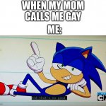 no thats not good | WHEN MY MOM CALLS ME GAY; ME: | image tagged in ok ko sonic that's no good,my mom should understand me and him are friends | made w/ Imgflip meme maker