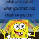 When your likes you. | image tagged in sponge bob rainbow meme | made w/ Imgflip meme maker