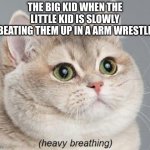 something that came off the top of my head based off of a true story. | THE BIG KID WHEN THE LITTLE KID IS SLOWLY BEATING THEM UP IN A ARM WRESTLE | image tagged in memes,heavy breathing cat | made w/ Imgflip meme maker