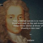 Voltaire quote