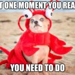 Look comments | THAT ONE MOMENT YOU REALISE; YOU NEED TO DO | image tagged in dogster | made w/ Imgflip meme maker