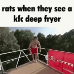 rats when they see a kfc deep fryer | image tagged in gifs,so true memes | made w/ Imgflip video-to-gif maker