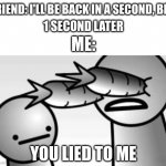 asdf you lied to me | FRIEND: I'LL BE BACK IN A SECOND, BRB; 1 SECOND LATER; ME:; YOU LIED TO ME | image tagged in asdf you lied to me | made w/ Imgflip meme maker