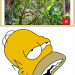 Sosig tree | DINNER TIME | image tagged in homer yummy,sausage,homer simpson,tree | made w/ Imgflip meme maker