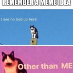 Hail pole cat | WHEN YOU FINALLY REMEMBER A MEME IDEA | image tagged in hail pole cat | made w/ Imgflip meme maker