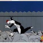 Sylvester cat