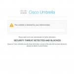 Cisco umbrella site block template