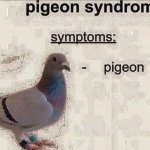 Pigeon syndrome
