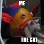 Cat eaten by play-fish | ME; THE CAT | image tagged in cat eaten by play-fish | made w/ Imgflip meme maker
