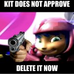 Kit does not approve meme