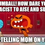 Gumball Trouble @ School | GUMBALL! HOW DARE YOU BE RACIST TO AISE AND SUZIE? I'M TELLING MOM ON YOU! | image tagged in no racism | made w/ Imgflip meme maker