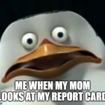 you're free trial of life has ended | ME WHEN MY MOM LOOKS AT MY REPORT CARD | image tagged in the skipper | made w/ Imgflip meme maker