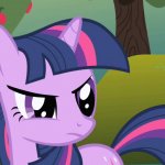 twilight sparkle frowning