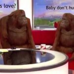 Lulz | What is love? Baby don’t hurt me no more | image tagged in orangutan interview | made w/ Imgflip meme maker