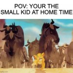 True story | POV: YOUR THE SMALL KID AT HOME TIME | image tagged in lion king stampede,true story,memes | made w/ Imgflip meme maker