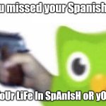 duolingo gun | POV: You missed your Spanish lesson BeG fOr YoUr LiFe In SpAnIsH oR yOu VaNiSh | image tagged in duolingo gun | made w/ Imgflip meme maker