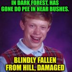 -Need to know geography. | -WHILE STAYED CAMP IN DARK FOREST, HAS GONE DO PEE IN NEAR BUSHES. BLINDLY FALLEN FROM HILL, DAMAGED KNEE WITH WOUND. | image tagged in memes,bad luck brian,campfire,pee,dale king of the hill,help i've fallen and i can't get up | made w/ Imgflip meme maker