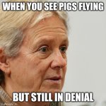 I don't believe this is real! | WHEN YOU SEE PIGS FLYING; BUT STILL IN DENIAL | image tagged in i don't believe this is real | made w/ Imgflip meme maker