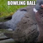Fat chirp | BOWLING BALL | image tagged in fat chirp | made w/ Imgflip meme maker