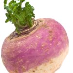 Turnip - transparent background