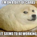 Diet dogge | I'M ON A DIET OF CARBS; IT SEEMS TO BE WORKING | image tagged in fat doge | made w/ Imgflip meme maker