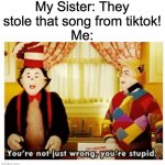 You're not just wrong, but also stupid. | My Sister: They stole that song from tiktok!
Me: | image tagged in you're not just wrong your stupid | made w/ Imgflip meme maker
