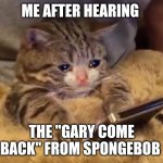 True right | ME AFTER HEARING THE "GARY COME BACK" FROM SPONGEBOB | image tagged in sad cat phone,spongebob,sad,cat,gary come back | made w/ Imgflip meme maker
