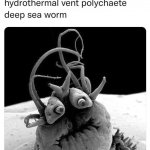 Deep sea vent worm meme
