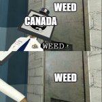 Mr. Moniter that's very legal | WEED; CANADA; WEED; WEED | image tagged in mr moniter that's very legal | made w/ Imgflip meme maker