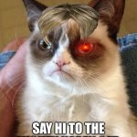 The mighty karen cat | SAY HI TO THE MIGHTY KAREN CAT | image tagged in memes,grumpy cat | made w/ Imgflip meme maker
