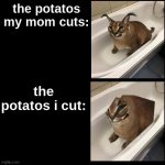 isnt this true | the potatos my mom cuts: the potatos i cut: | image tagged in blank,floppa,memes | made w/ Imgflip meme maker