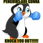 Pittsburgh Penguins | PENGUINS ARE GONNA; KNOCK YOU OUT!!!!!! | image tagged in punch you out penguin | made w/ Imgflip meme maker
