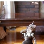 Suprise! Its a discord argument | MY CAT WHEN I MEOW BACK, BUT I MAKE A GRAMMATICAL MISTAKE: "I WIN" | image tagged in memes,cool cat stroll | made w/ Imgflip meme maker