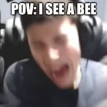 gorg | POV: I SEE A BEE | image tagged in georgenotfound in pain,georgenotfound,dream,dreamsmp | made w/ Imgflip meme maker