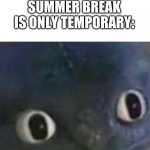 Well Frick | WHEN YOU REALIZE SUMMER BREAK IS ONLY TEMPORARY: | image tagged in memes,toothless,oh wow are you actually reading these tags,barney will eat all of your delectable biscuits,summer vacation | made w/ Imgflip meme maker