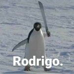 Rodrigo meme