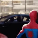 Fly spider GIF Template