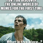 Maze Runner: What is this place! | POV: YOU DISCOVER THE ONLINE WORLD OF MEMES FOR THE FIRST TIME | image tagged in maze runner what is this place | made w/ Imgflip meme maker