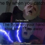 Think about it.. | The fly when you catch it; The fly when your hand slips and it flies away | image tagged in im too weak | made w/ Imgflip meme maker
